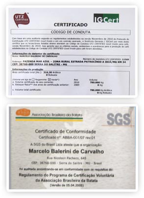 Certificado