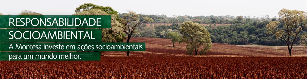 Responsabilidade socioambiental